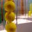 Photo_1