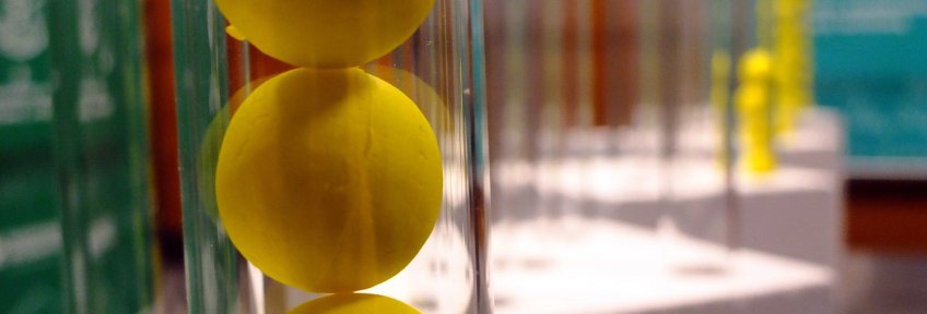 Photo_1