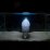 WhaleTag_exhibit