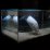 WhaleTag_side