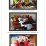 Supporting Pict OECD_page-0020