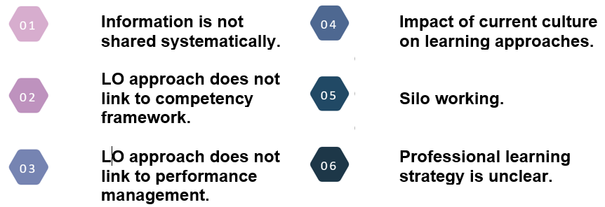 Following the initial learning organisation assessment, the OECD identified the following barriers restricting our future development as an LO