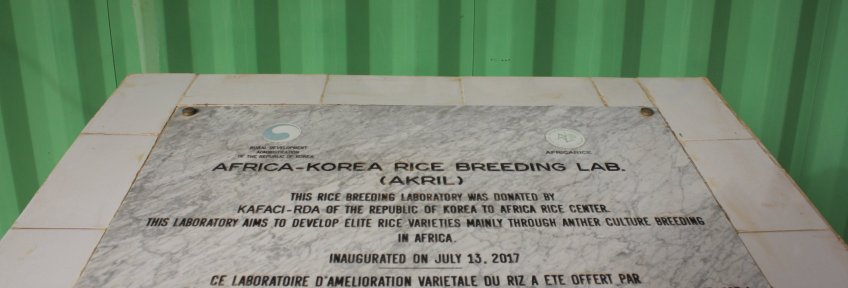 Korea-Africa Breeding Lab in AfricaRice, Senegal