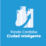 LOGO Fondo CCI