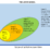 Vinnova Vinnväxt Layer Model
