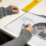 Small Business Friendly Approvals Program