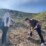 The ‘Rejuvenation Forest’ ceremony for areas in Uljin County damaged by forest fires in 2023(1)