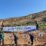The ‘Rejuvenation Forest’ ceremony for areas in Uljin County damaged by forest fires in 2023(2)